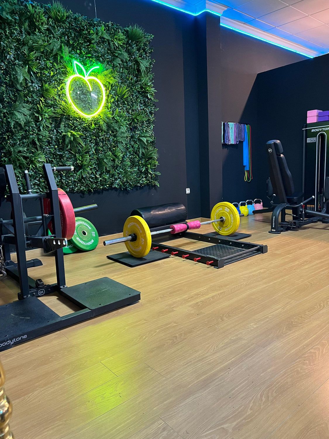 Sala de Training Club con barras y discos de colores, jardín vertical con el neón verde y tira LED azul